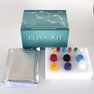 小鼠（Mouse）免疫球蛋白G3（IgG3）ELISA检测试剂盒|Mouse IgG3 ELISA Kit