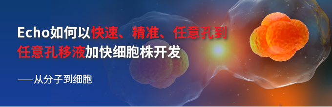 Echo如何以快速、精准、任意孔到任意孔移液加快细胞株开发