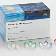 FastStart™ Taq DNA聚合酶，5 U / μl