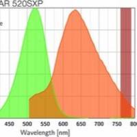 abberior STAR 520SXP共聚焦、超分辨荧光染料
