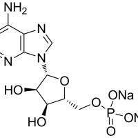 149022-20-8/	 AMP钠盐 ,	98%
