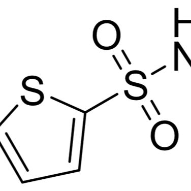 155731-14-9/	 5-氯-2-噻吩叔丁基磺酰胺,	97%