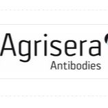 2 |  Plant Cell Compartment Antibody Marker Set | 5 antibodies