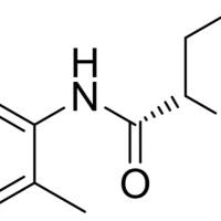 27262-40-4/	 (S).N-(2',6'-二甲苯基)-2-啶甲酰胺,	分析标准品,HPLC≥98%