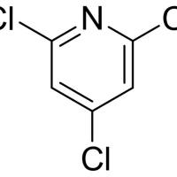 16063-69-7/	 2,4,6-三氯吡啶 ,	98%