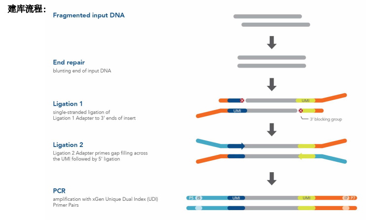 xGen Prism DNA Library Prep Ki