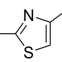 1603-91-4/	 2-氨基-4-甲基噻唑,	98%