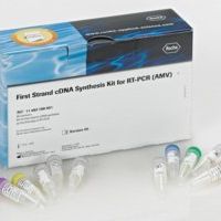 11483188001/ RT-PCR第一条链cDNA合成试剂盒（AMV）