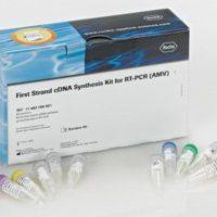11483188001/ RT-PCR第一条链cDNA合成试剂盒（AMV）