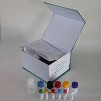 大鼠（Rat）心钠肽（ANP）ELISA检测试剂盒