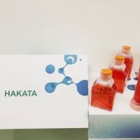 MCF7/TAM人乳腺癌他莫昔芬耐药株