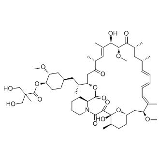 162635-04-3/ 西罗莫司脂化物 ,≥98%