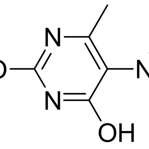 16632-21-6/ 5-硝基-6-甲基脲嘧啶 ,98%