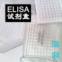C-Peptide Kit 大鼠C肽 ELISA技术