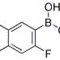 1072952-42-1/5-氯-2-氟-4-甲基苯硼酸