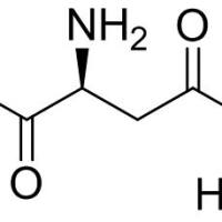 16115-68-7/	 L-天门冬氨酸二乙酯盐酸盐 ,	98%