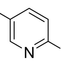 171197-80-1/	 2-氟-5-碘吡啶,	98%