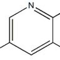 1256787-60-6/2-氟-3-甲氧基吡啶-5-甲醛