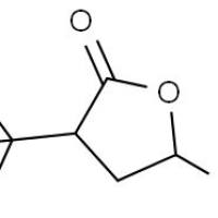 139547-12-9/γ-甲基-α-三氟甲基-γ-丁酯