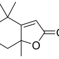 17092-92-1/ (S)-二氢猕猴桃内酯, 98%