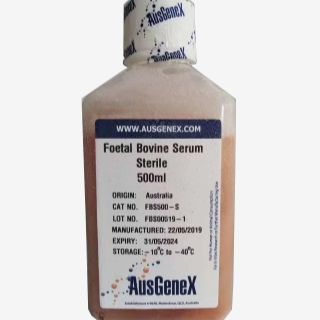 AusGeneX Foetal Bovine Serum-Sterile胎牛血清FBS500-S