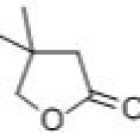 13861-97-7/Γ-二甲基丁内酯