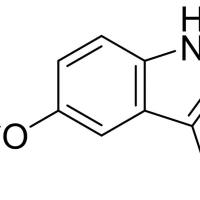 169789-47-3/	 5-乙氧基吲哚-3-甲醛 ,	98%