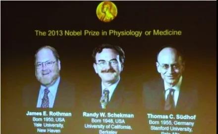 外泌体｜谁与争锋？火得如日中天的研究「新秀」