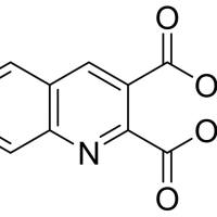 17507-03-8/	 2,3-啉二甲酸二甲酯 ,	97%