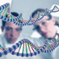 总反式脂肪酸分析