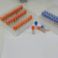 缪勒激素2型受体抗体