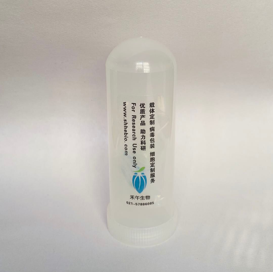 pEnCMV-KEAP1(mouse)-3×Myc(2同义突变)质粒