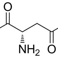 17812-32-7/	 L-天门冬氨酸 1-甲酯 ,	98%
