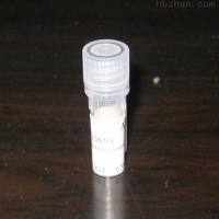 表皮型脂氧合酶3抗体（鱼鳞病相关蛋白）