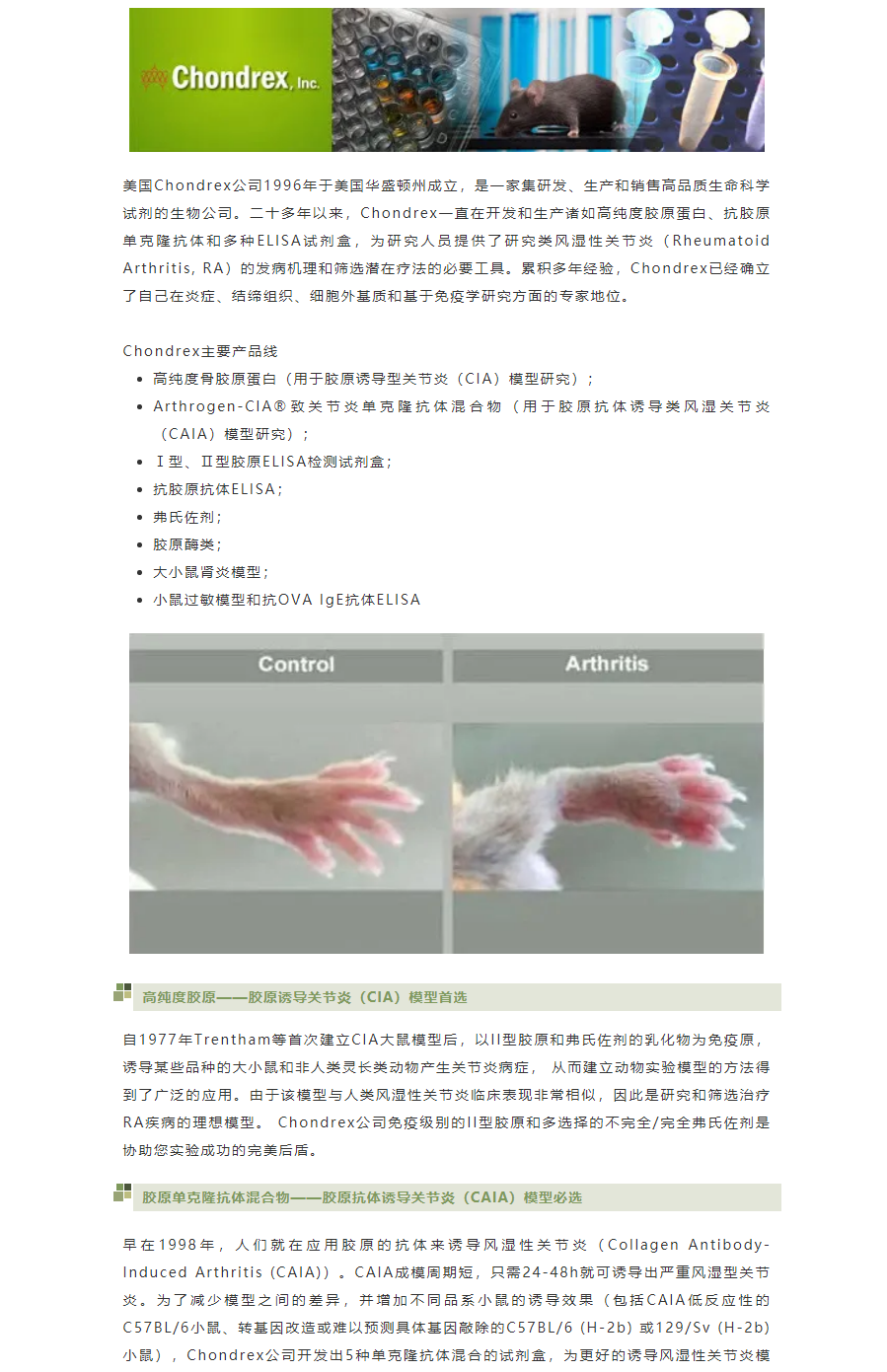 关节炎造模的有力武器——Chondrex胶原家族