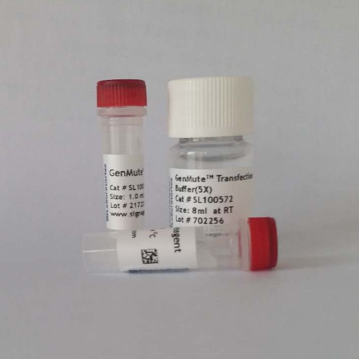 GenMute™ 体外siRNA转染试剂（免费试用）