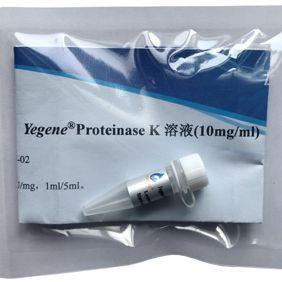 Proteinase 蛋白酶K溶液