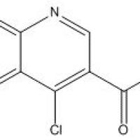 56824-87-4/4-氯-6-甲基啉-3-甲酸乙