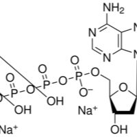 1927-31-7/ 2'-脱氧腺苷-5'-三酸钠盐,≥98%