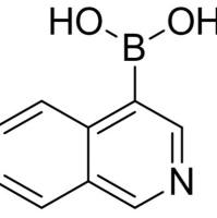 192182-56-2/	 4-异啉硼酸 ,	98%