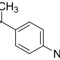 19241-24-8/ 4-叔丁基基异酸酯 , 98%