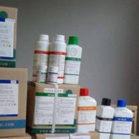 SDS-PAGE凝胶配制试剂盒