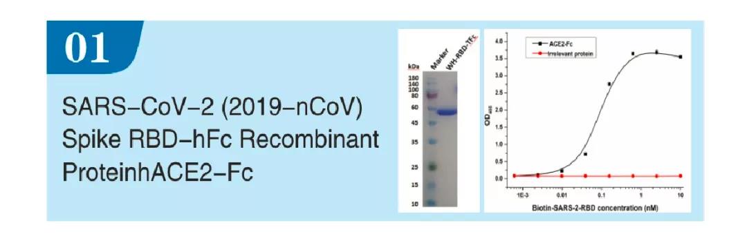 Biorbyt赠送新冠产品，数量有限先到先得！