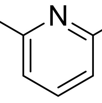 20885-12-5/ 6-氟-2-吡啶 ,97%