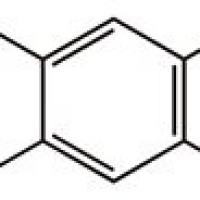 98446-49/-2	 2,4-二氯-5-甲氧基胺,	98%