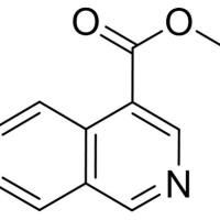 20317-40/-2	 异啉-4-甲酸甲酯,	97%