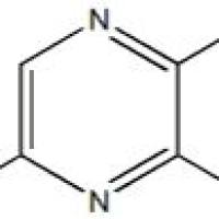 1001050-30-1/	 5-氯-2-氨基-3-甲基吡嗪 ,	97%