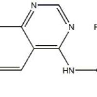 612501-52-7/4-(3-氯-2-苯胺)-6-羟基-7-甲氧基喹唑啉