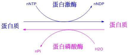 新闻图片3