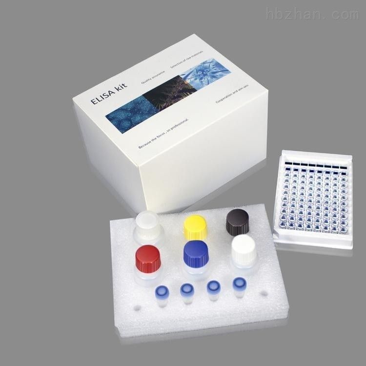 供應大鼠elisa法檢測試劑盒提供代測服